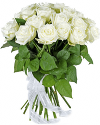 Элитные белые розы 15